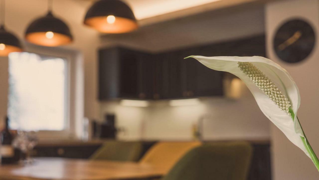 Apartment Ninetyfour アンベルク・イム・ランマータール エクステリア 写真